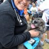 dog walk 2013-5179